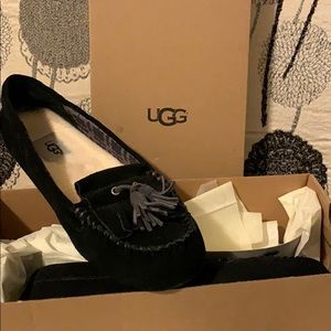 Ugg shoes